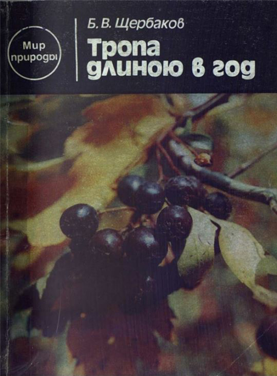 Тропа длинною в год